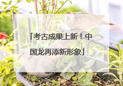 考古成果上新！中国龙再添新形象